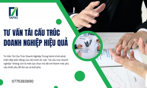 Tư Vấn Tái Cấu Trúc Doanh Nghiệp Hiệu Quả